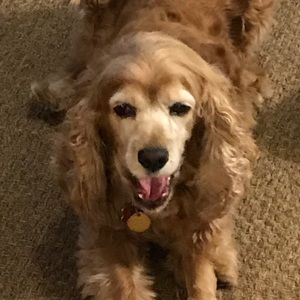 Meet your Posher, Chris